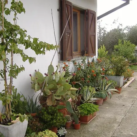 Bed & Breakfast La Giada Vezzano Ligure